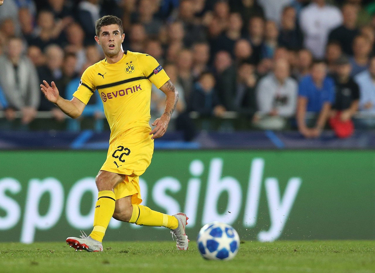 他们不仅为 他们不仅为