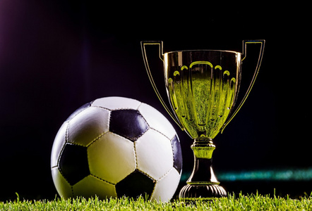 的决赛中 的决赛中