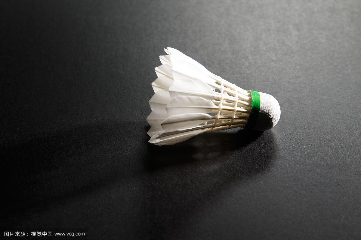 了未来的成 了未来的成